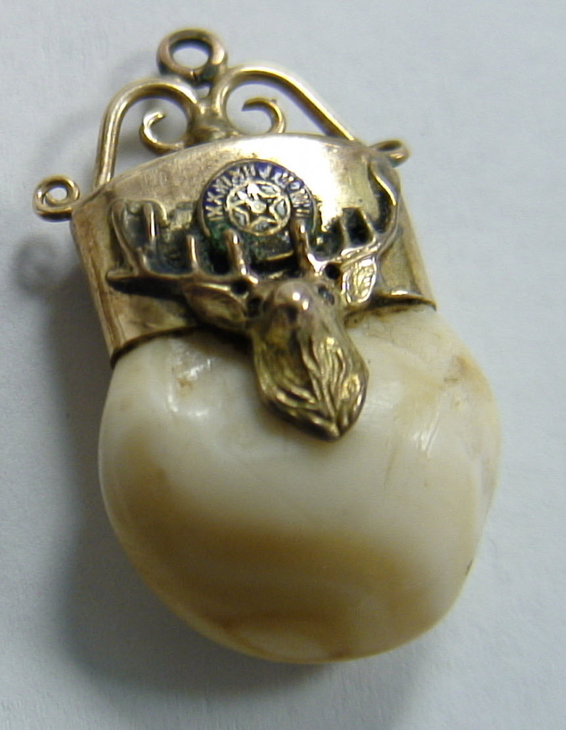 Gold Elks Tooth