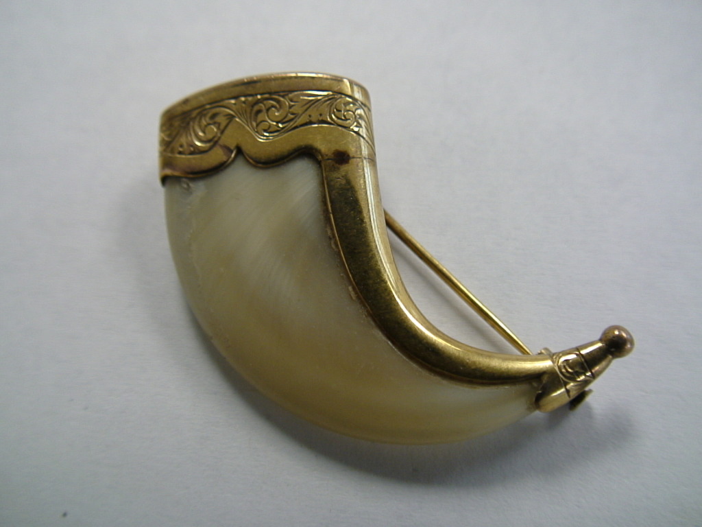 16-Lion Claw Gold Brooch Front