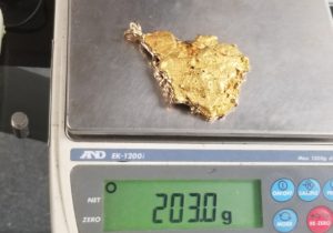 Alaskan giant gold nugget for sale