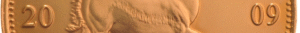 2009 Krugerrand