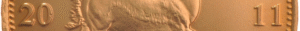2011 Krugerrand